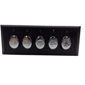 Botonera Electrónica 5 Teclas 230V