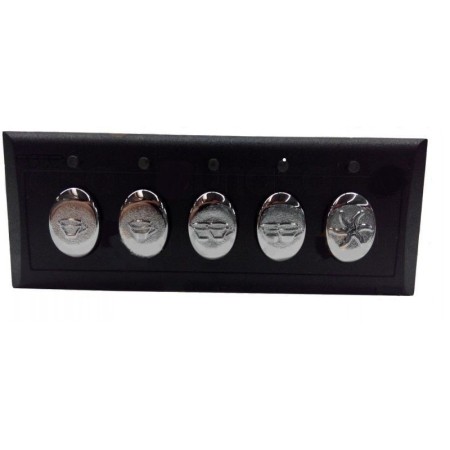 Botonera Electrónica 5 Teclas 230V