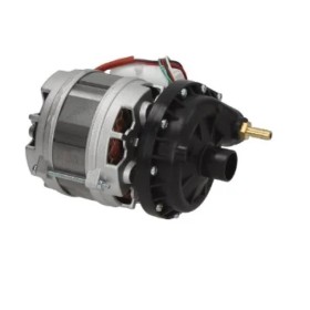 Bomba Lavado 230V 0.30HP Jolly