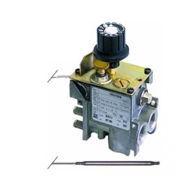 Válvula Eurosit 630 80/320ºC Horno