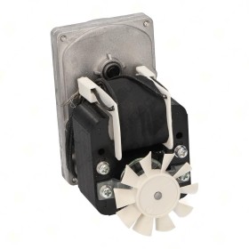 Motor Tostador Pan