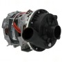 Bomba Lavado 230V 0.8HP Beta 246/250
