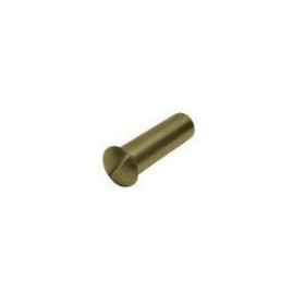 Perno Cierre Puerta Ø5x22mm CF50