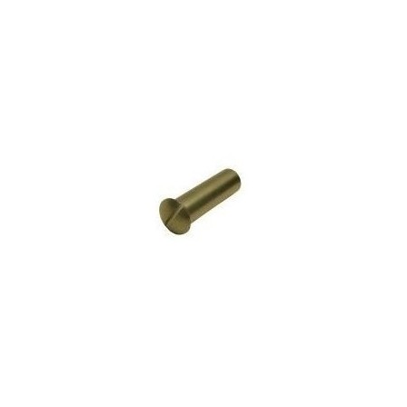 Perno Cierre Puerta Ø5x22mm CF50