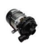 Motor Bomba 230V 0.75HP CF50