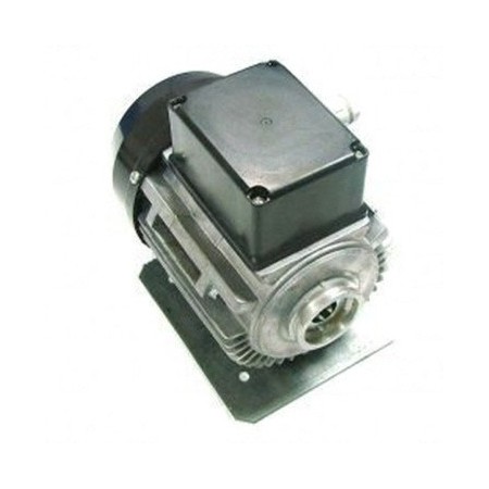 Motor Para Bomba 230V 300W Rpm