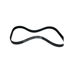 Correa Pj 891 7 Dientes