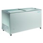 CONSERVADORA PTA.CRISTAL HF500TCG R600a