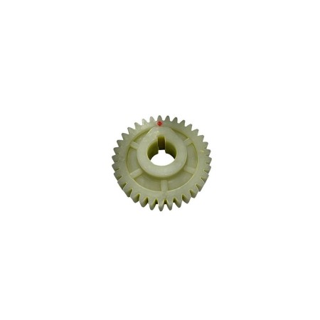 Engranaje Plástico Pequeño  Eprimidor Eutron MF-2000E-2 33 dientes Eje 30mm
