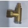 Cuerpo Piloto C/INYECTOR Ø0.21mm