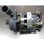 MOTOR BOMBA