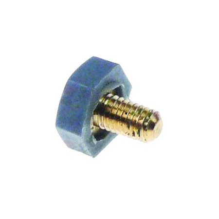 Tornillo Soporte Inferior Giratorio CF35
