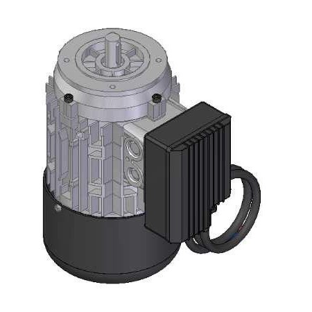MOTOR EXPRIMIDOR 230V