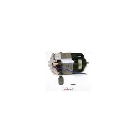 Motor 750W Triturador