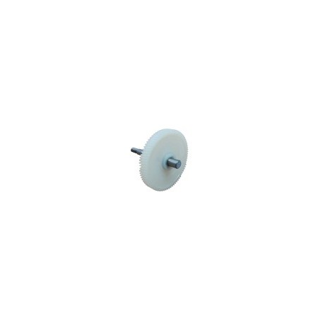 Piñon Nylon Molino