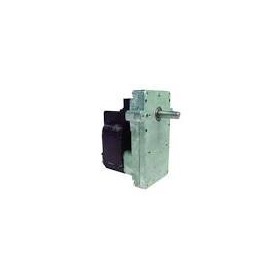 Motor asador de pollos Eurast Macfrin. Recambio repuestos accesorios.