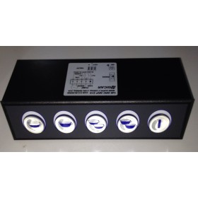 Botonera Electronica 230V Azul C/SONDA GICAR