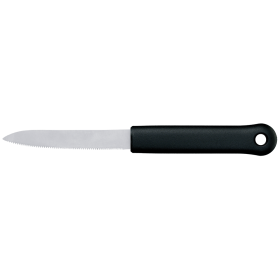 Tomate 205x16x1.3 mm.