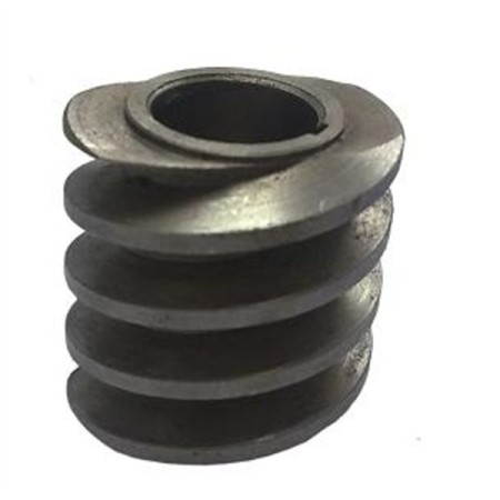Espiral del motor Picadora TC-12 TC-22 Despiece 26
