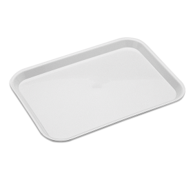 Bandeja de presentación 420x300x12 mm.