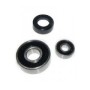 Conjunto cojinetes triturador MP robot-coupe
