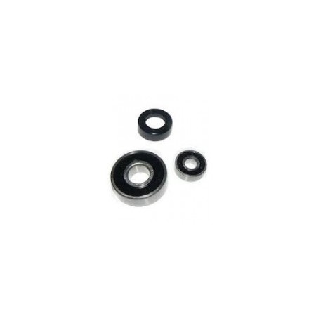 Conjunto cojinetes triturador MP robot-coupe