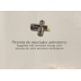 Lavamanos integral registrable un pulsador dimensiones 450x450x1250 mm