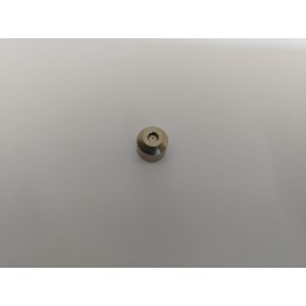 Inyector Piloto Ø0.30mm Glp