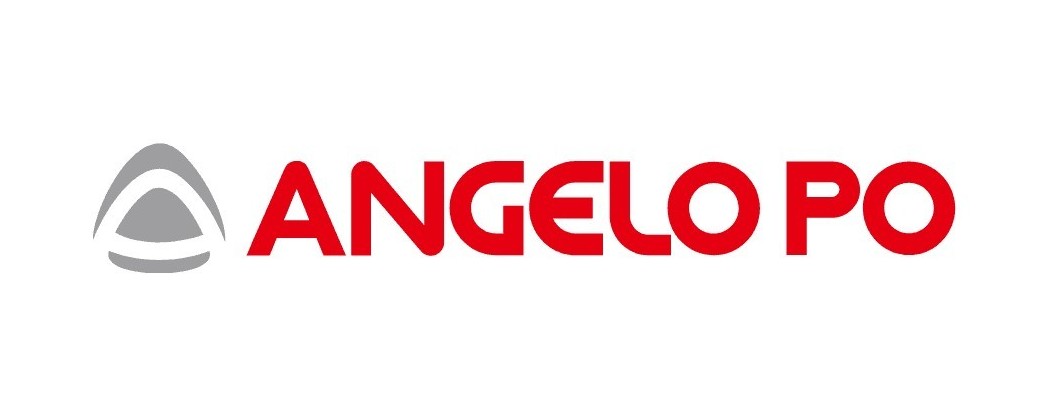 repuestos recambios y accesorios para freidoras de la marca Angelo Po