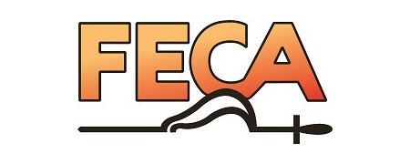 Repuestos asadores Feca