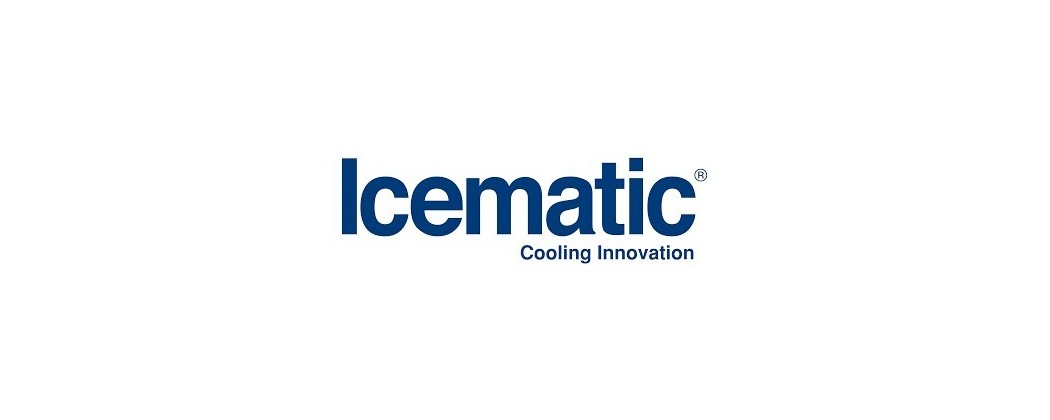 recambios y repuestos Icematic