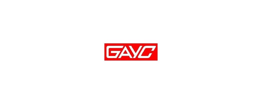 FREIDORAS GAYC